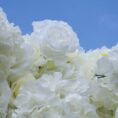 white-flower-wall-wedding-ceremony-08.webp